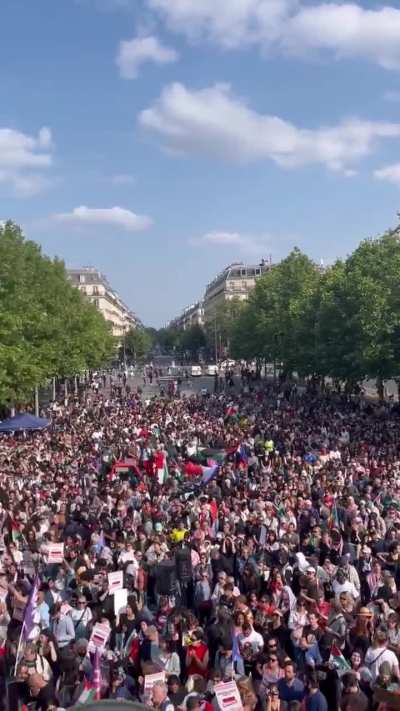 Several thousand people demonstrated in Paris to demand the release of the crew of the Madleen Freedom Flotilla, kidnapped by Israel.