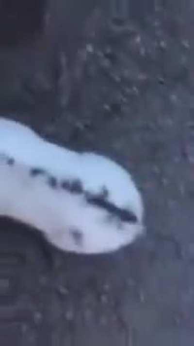 A very unusual turn of events?