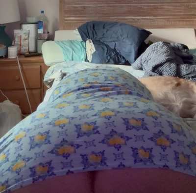 Morning shelf stretch