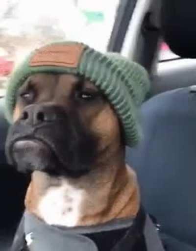 Very important person!)