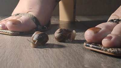 Exquisite snail crush - closer view 👡💕