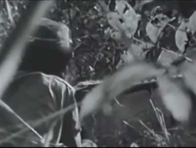 Guinea Bissau PAIGC fighter ambush a Portuguese column. Circa 1964