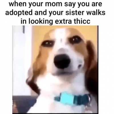 What if both the children are adopted. And they are real siblings