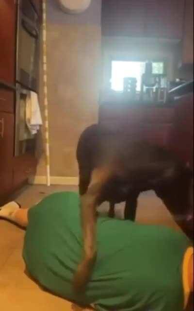 Hitdog moves in to ensure the target is dead