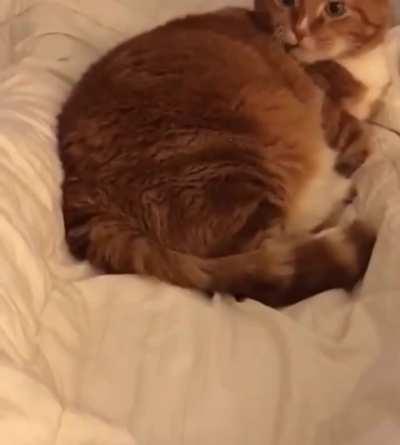 You have to be able to snore that sweetly