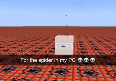 That poor spider…