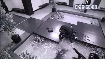 The full Koi pond surveillance footage. Deleted scene.