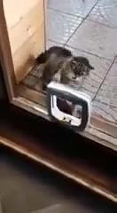 Not in the mood for jokes now!