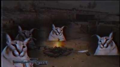 happy floppa friday everyone, stop at the fire to rest before scrolling onward.