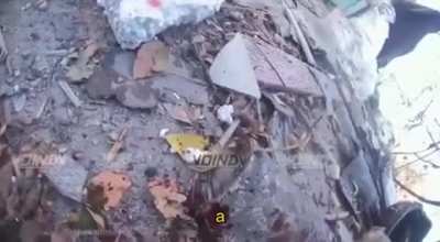 The brutal fight that ended in melee combat and the touching dialogue between the dying Ukrainian soldier and the Russian Yakut Fighter.