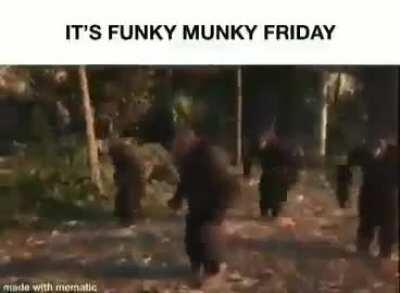 Light the monke up in the night