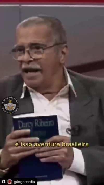 A todos os vira-latas deste Brasil 