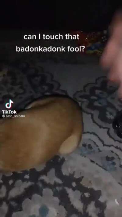 Doggo got that dump truck 😫