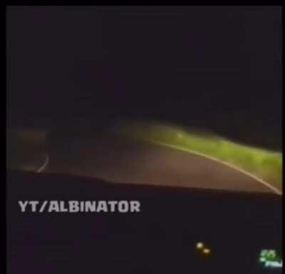 Cult found in country roads with some sort of statue burning