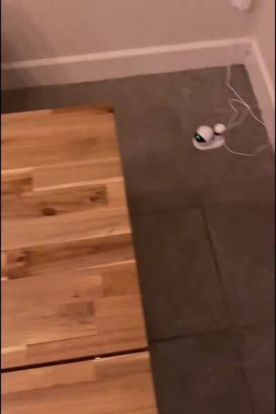 Busty Natural Goddess Fucked in Missionary