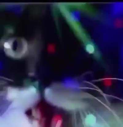 Someone told me I should post this here...