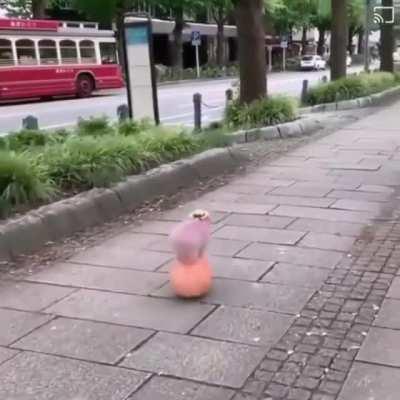 No se que poner, pero no hace falta de poner algo.