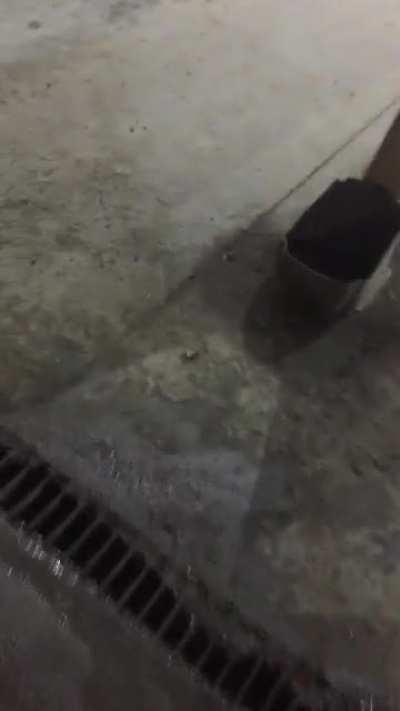 GECE 4 OLMUŞ UYKUSUZ ŞEKİLDE İŞİMİ YAPIYORUM AMK FAHİŞESİNİ NASIL SİKİYORLARSA İNLEMELERİ TÜM MAHALLEYİ SARDI. BU NASIL SİKİŞTİR AMK