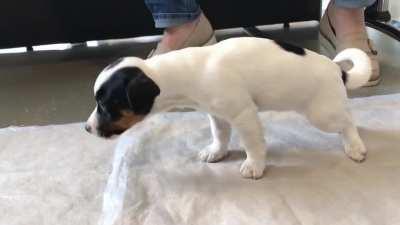 Wait a second and we'll find out...