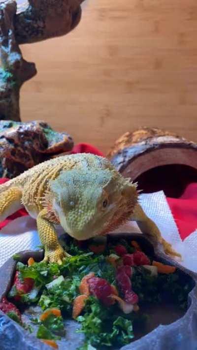 Time lapse of Charla tearing into her salad