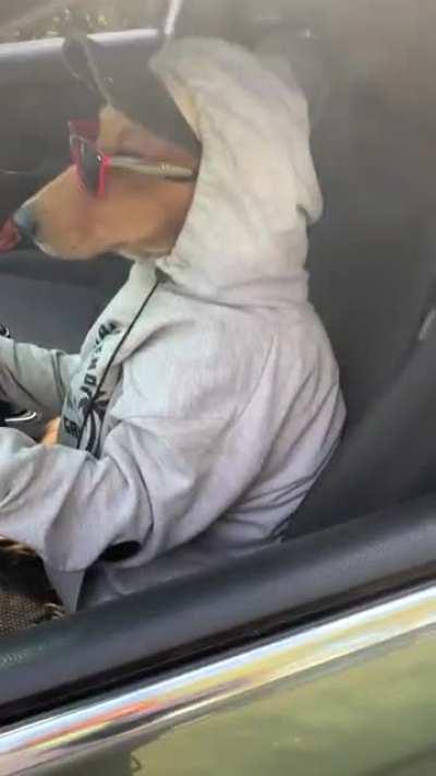 Ir a laburar un Lunes, primer día de Otoño.