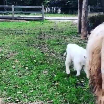 Mooommmm Stop eating and play with me!