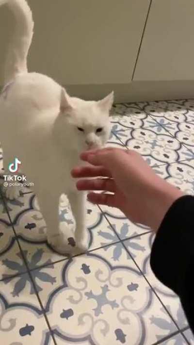 Such a loving litt- never mind