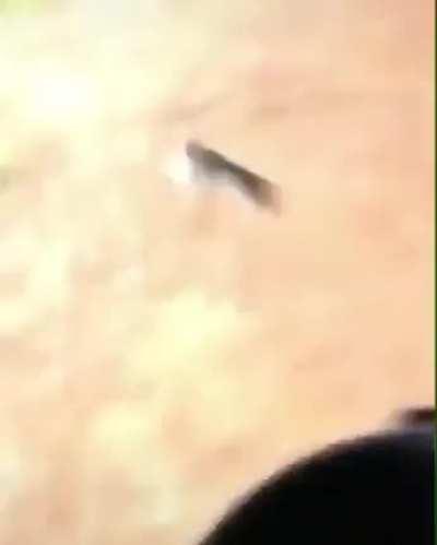 found ratleitui toda y 🐀