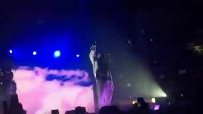 Sometimes you just need to see this.