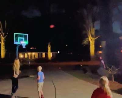 No hands off the tree