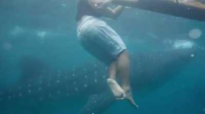 Imagine the first-person view. If only one could scream underwater