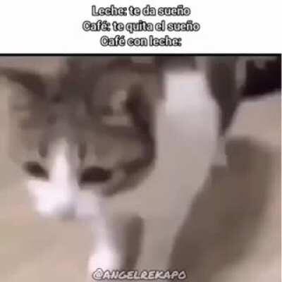 An interesting title