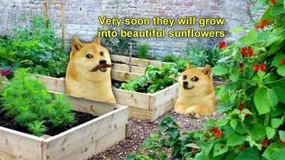 Le sunshine of my life has arrived