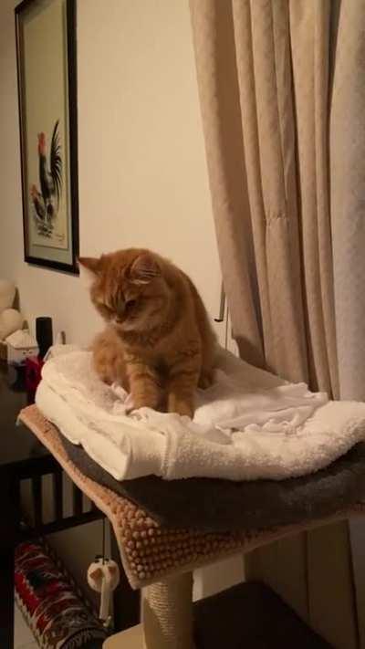 How to... bedtime ritual