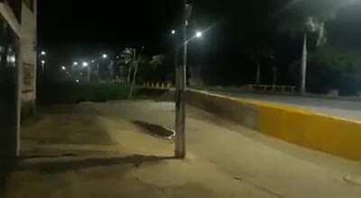 La pandemia saca lo mejor de todos