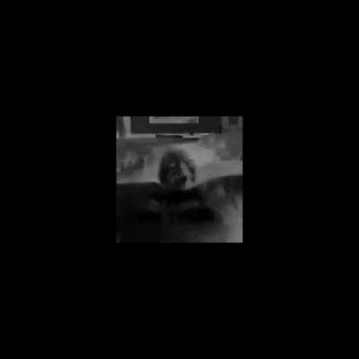 honey mustard lobotomy