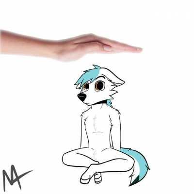 Pet✋irl