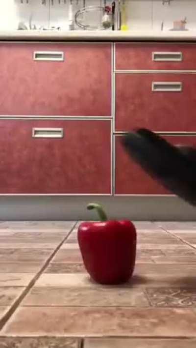 Vengeance from the onion