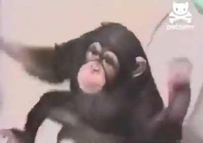 ¿Que hace orslok en mi baño?😳