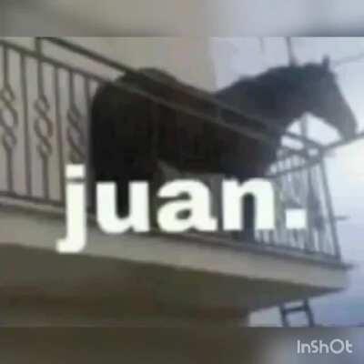 He's kinda hot though