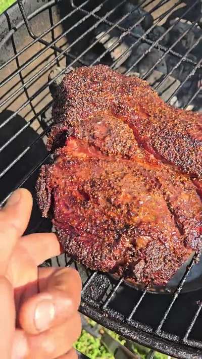 HELP ASAP!. Internal is about 170⁰ and no bark, but the jiggle is nice. Do I pull it?