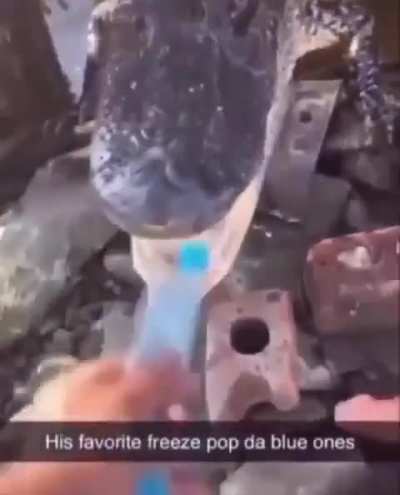 guh