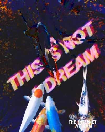 [this is not a dream]