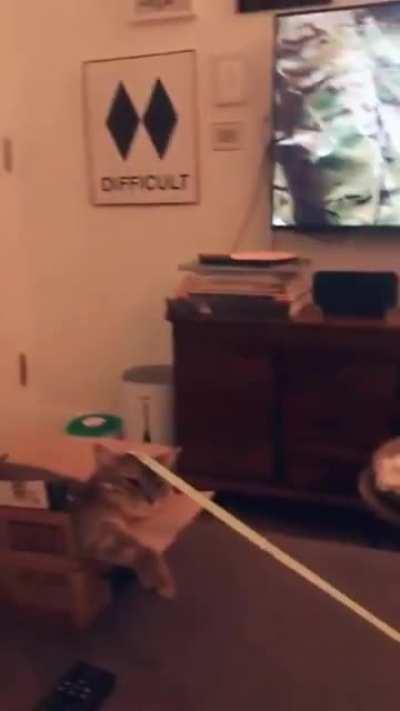 There's a tool for every job