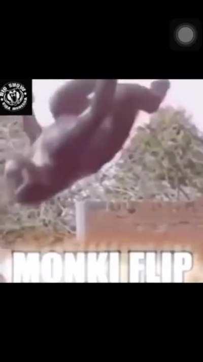 monki flip monki flip