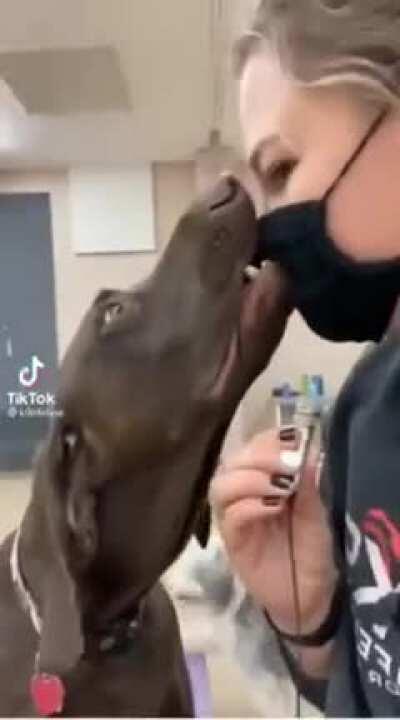 LOOL He might be a DOG.....but he's not a SHEEP 🐑🐑🐑🐑