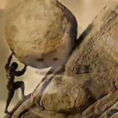 MoldyMemes - Video #9738