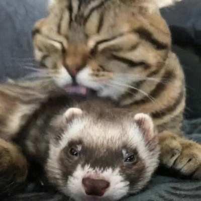 I guess I'm getting a bath now.