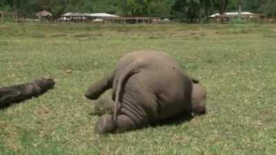 Those sleepy mornings