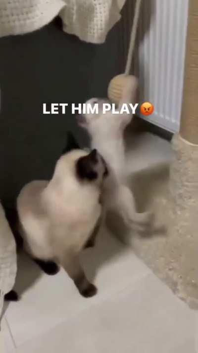 Playtime over wunk :(